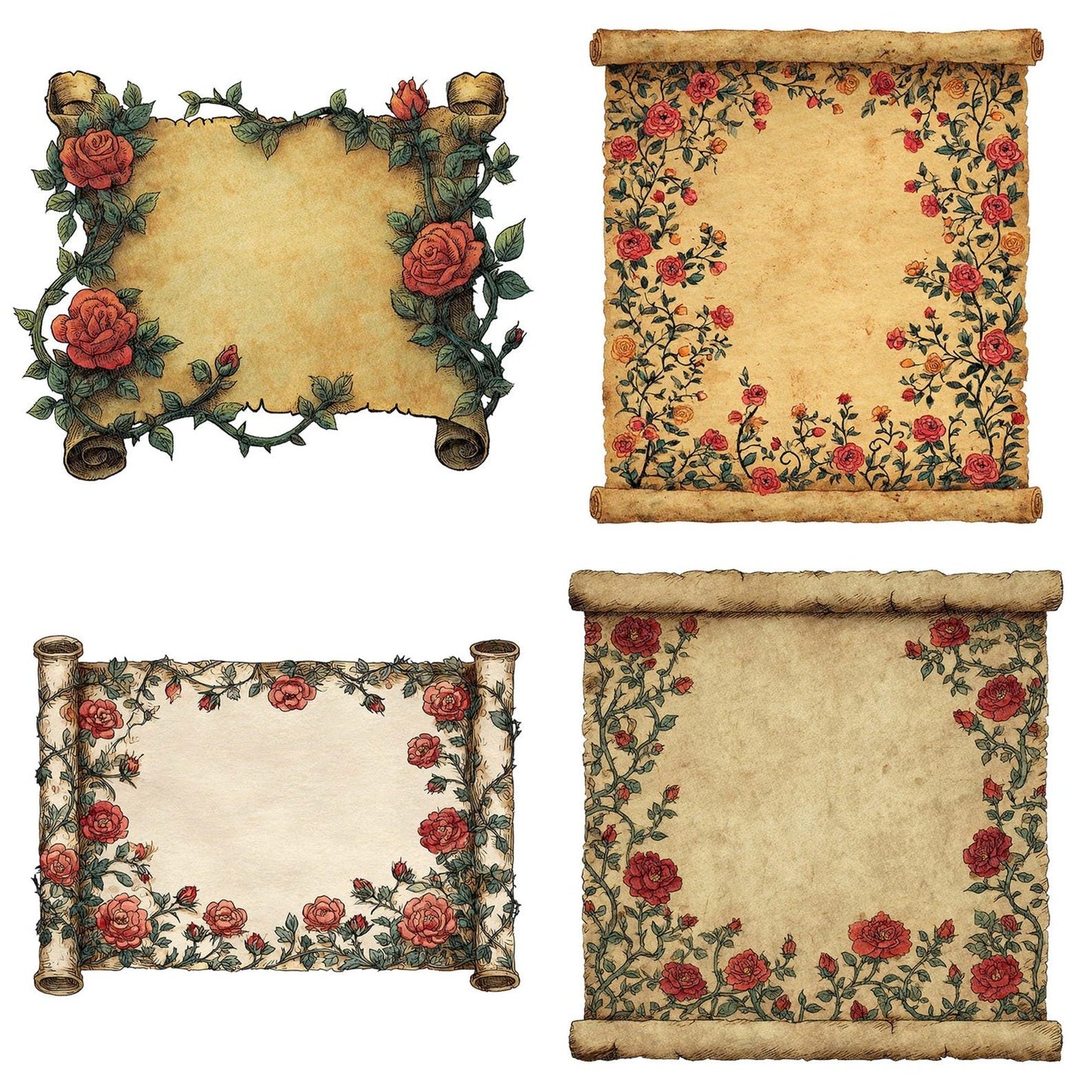 Watercolour Rose Medieval Scroll Clipart Set (DDD007318)
