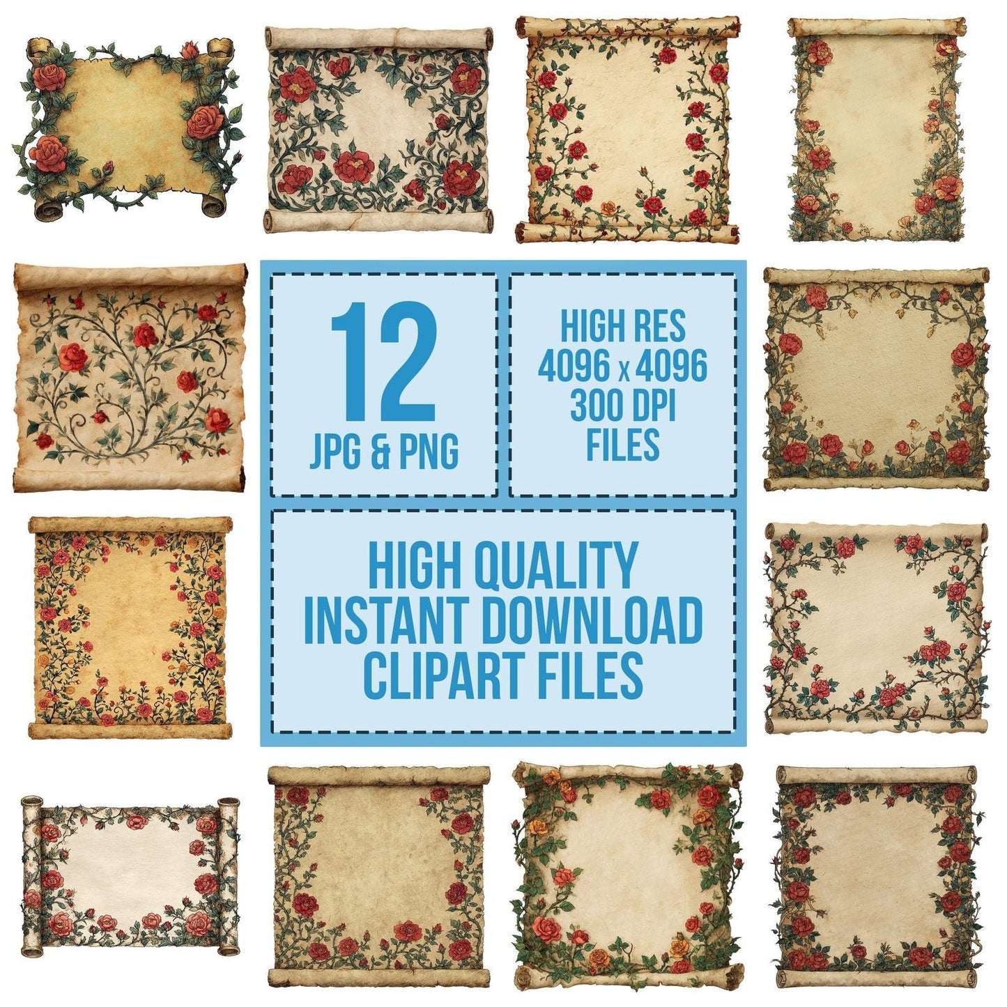 Watercolour Rose Medieval Scroll Clipart Set (DDD007318)