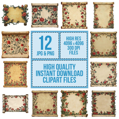 Watercolour Rose Medieval Scroll Clipart Set (DDD007318)