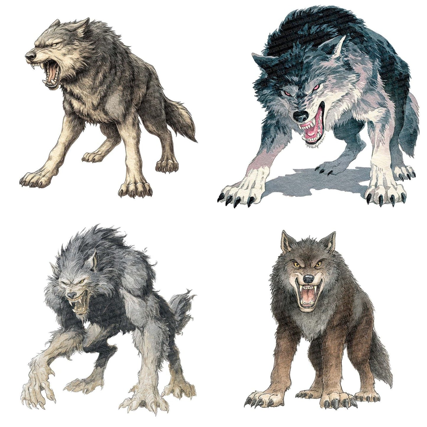 Watercolour Snarling Werewolf Clipart Set (DDD007343)