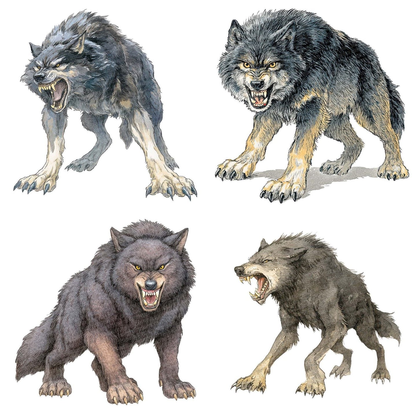 Watercolour Snarling Werewolf Clipart Set (DDD007343)