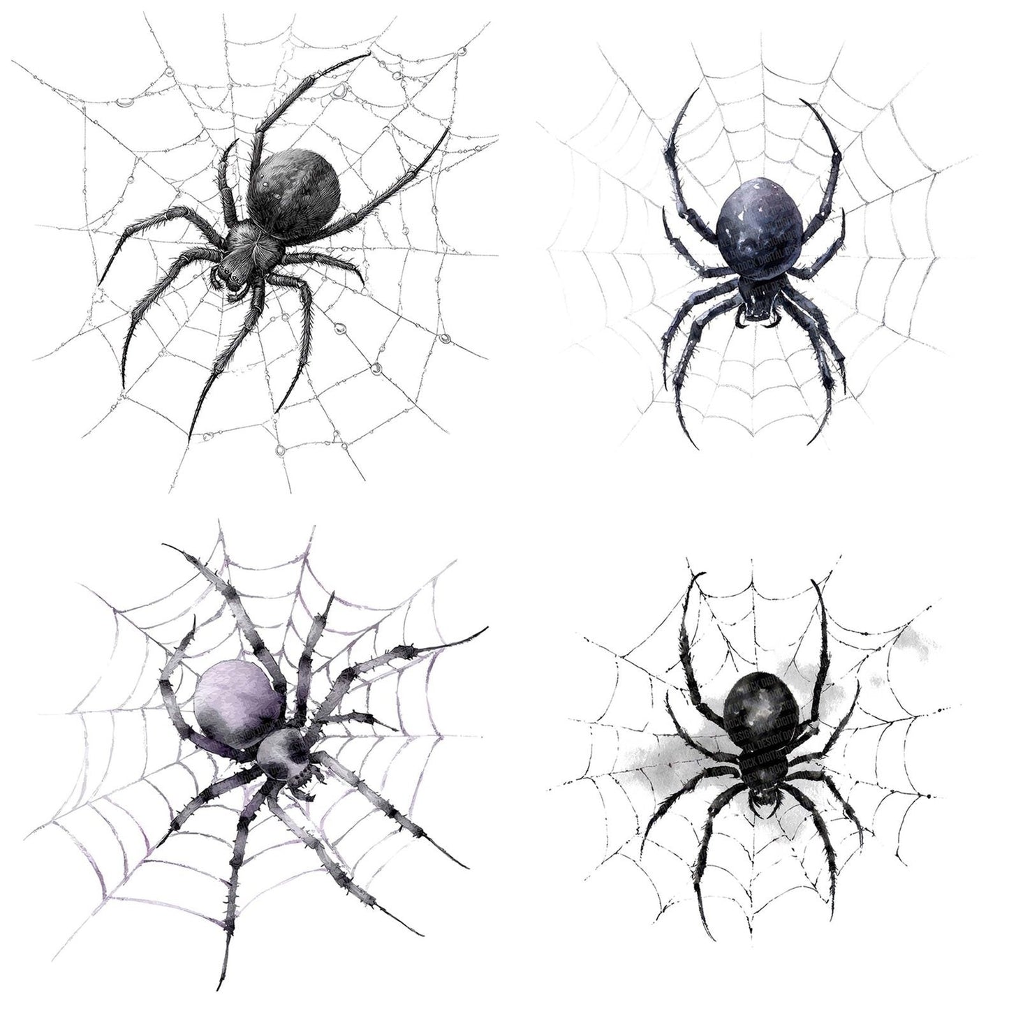 Watercolour Spider Web Clipart Set (DDD007356)