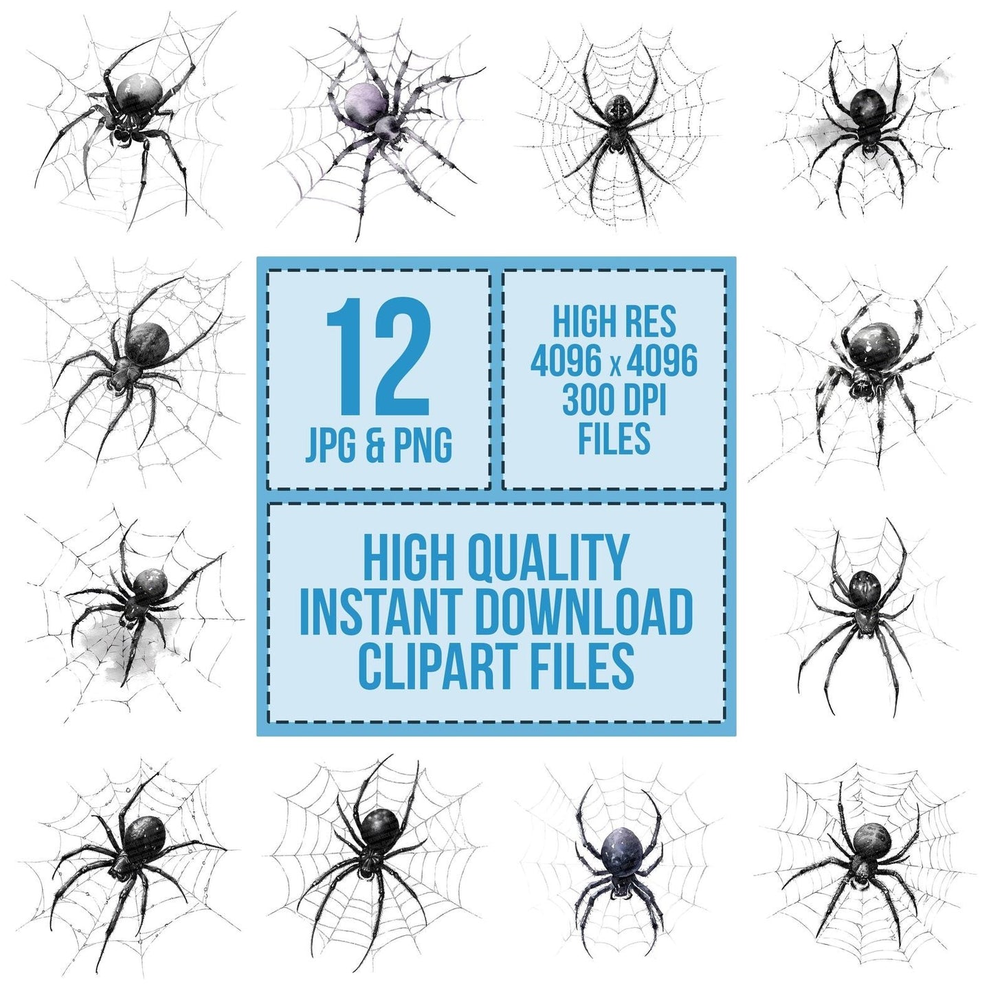 Watercolour Spider Web Clipart Set (DDD007356)