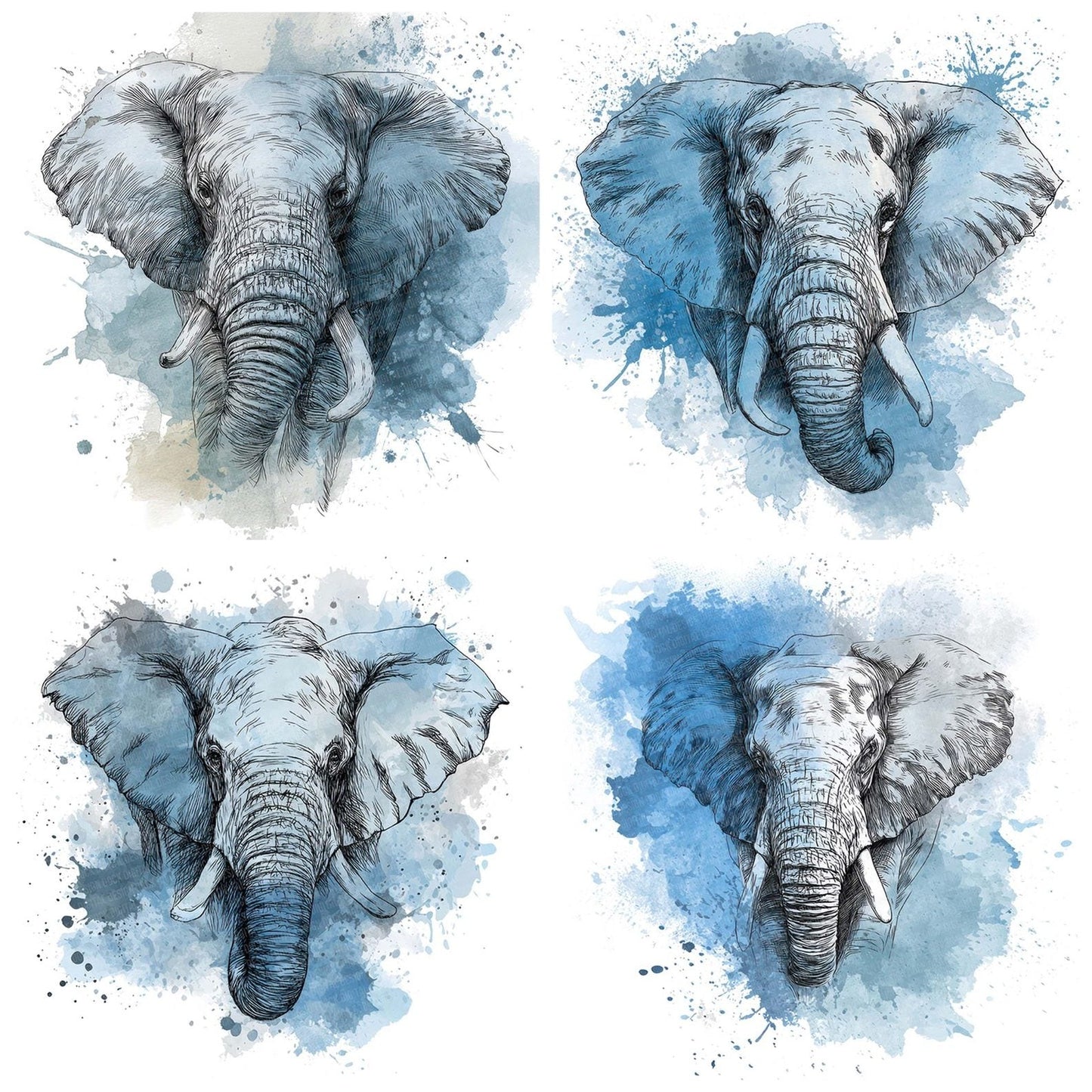 Watercolour Splash Elephant Head Clipart Set (DDD007359)