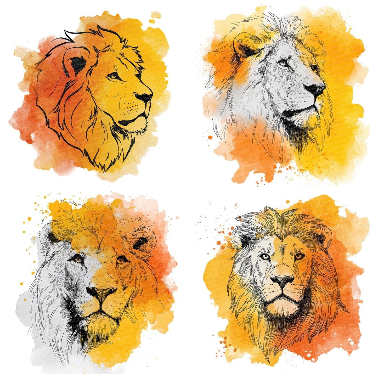 Watercolour Splash Lion Head Clipart Set (DDD007360)
