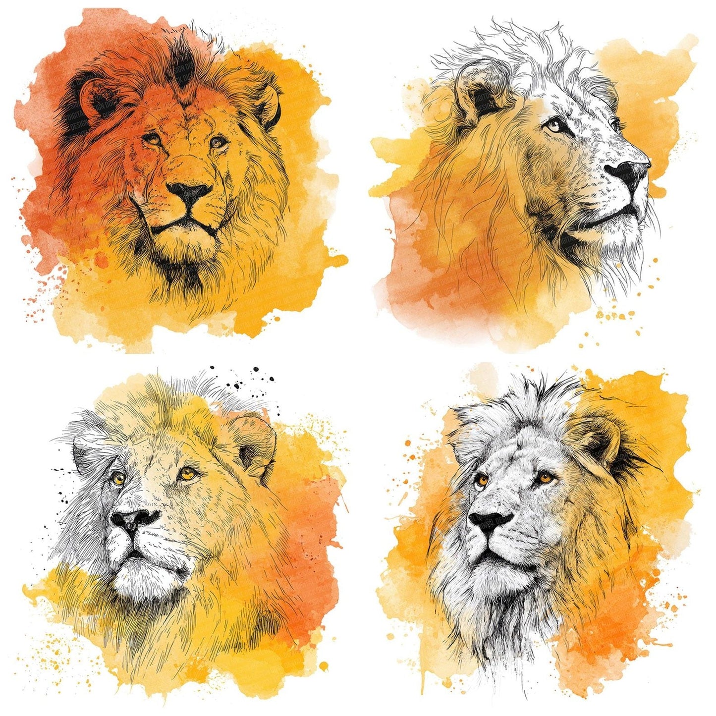 Watercolour Splash Lion Head Clipart Set (DDD007360)