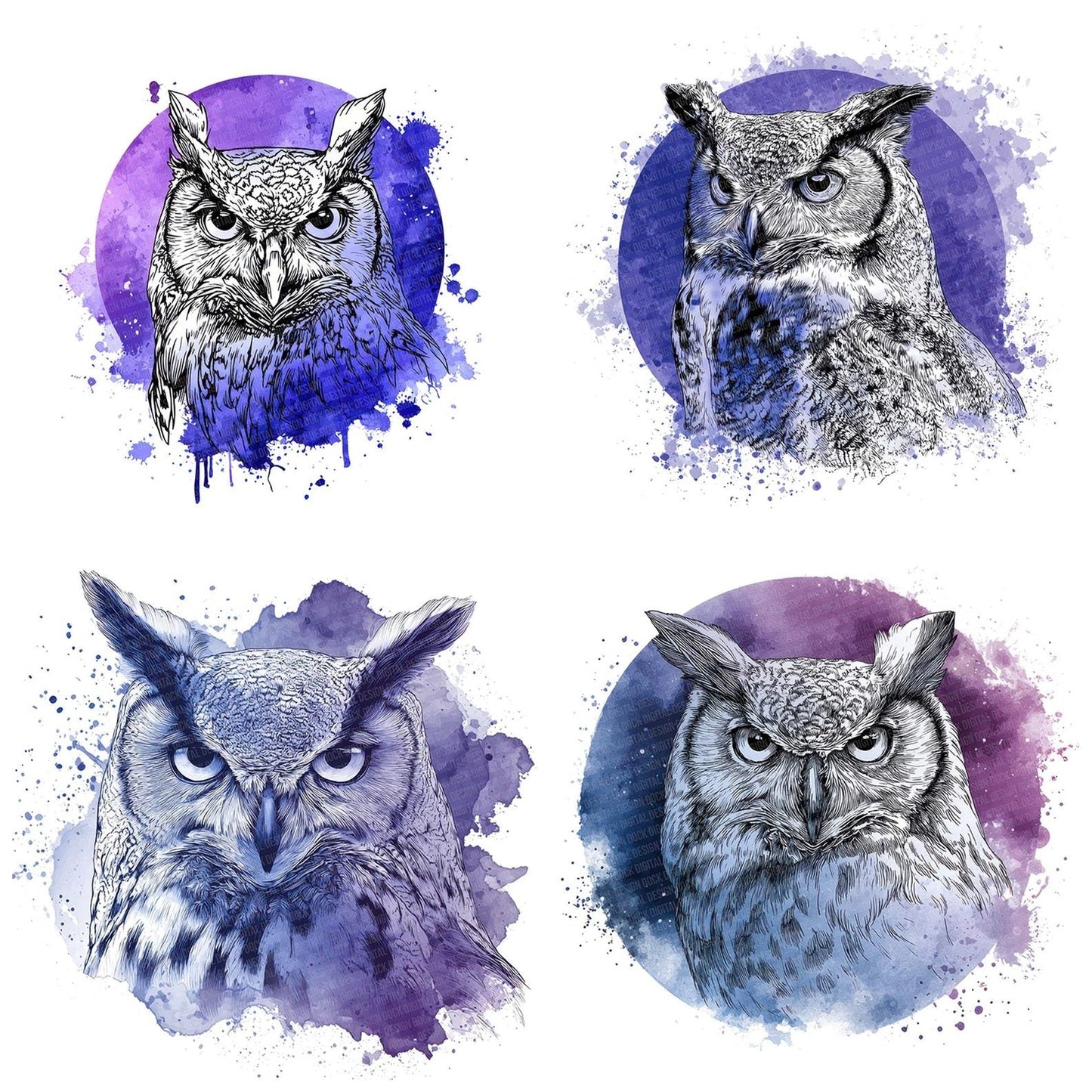 Watercolour Splash Owl Head Clipart Set (DDD007361)