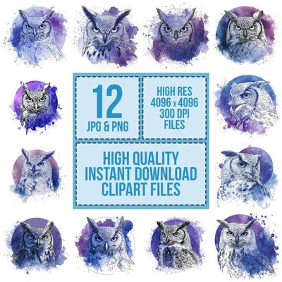 Watercolour Splash Owl Head Clipart Set (DDD007361)
