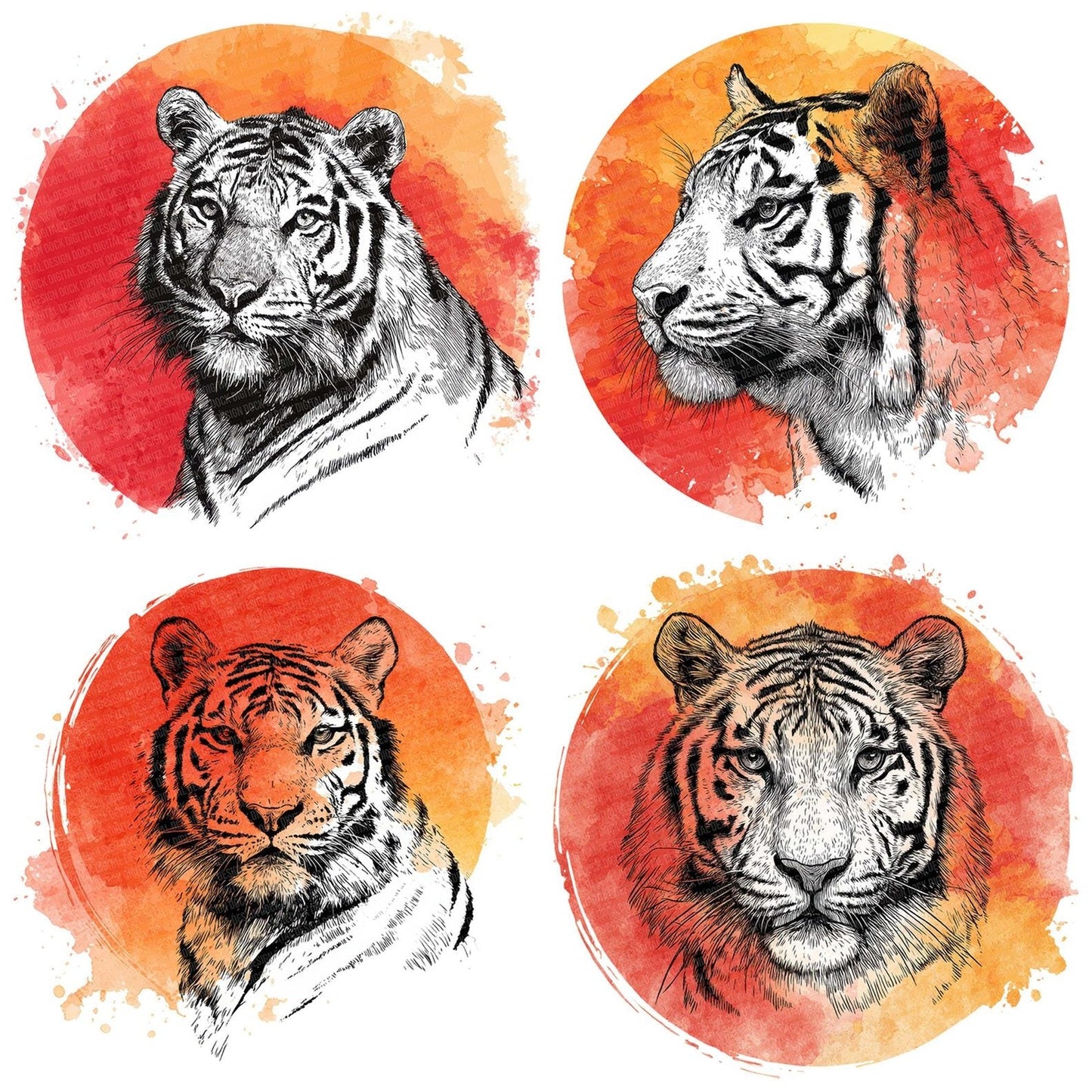 Watercolour Splash Tiger Head Clipart Set (DDD007362)