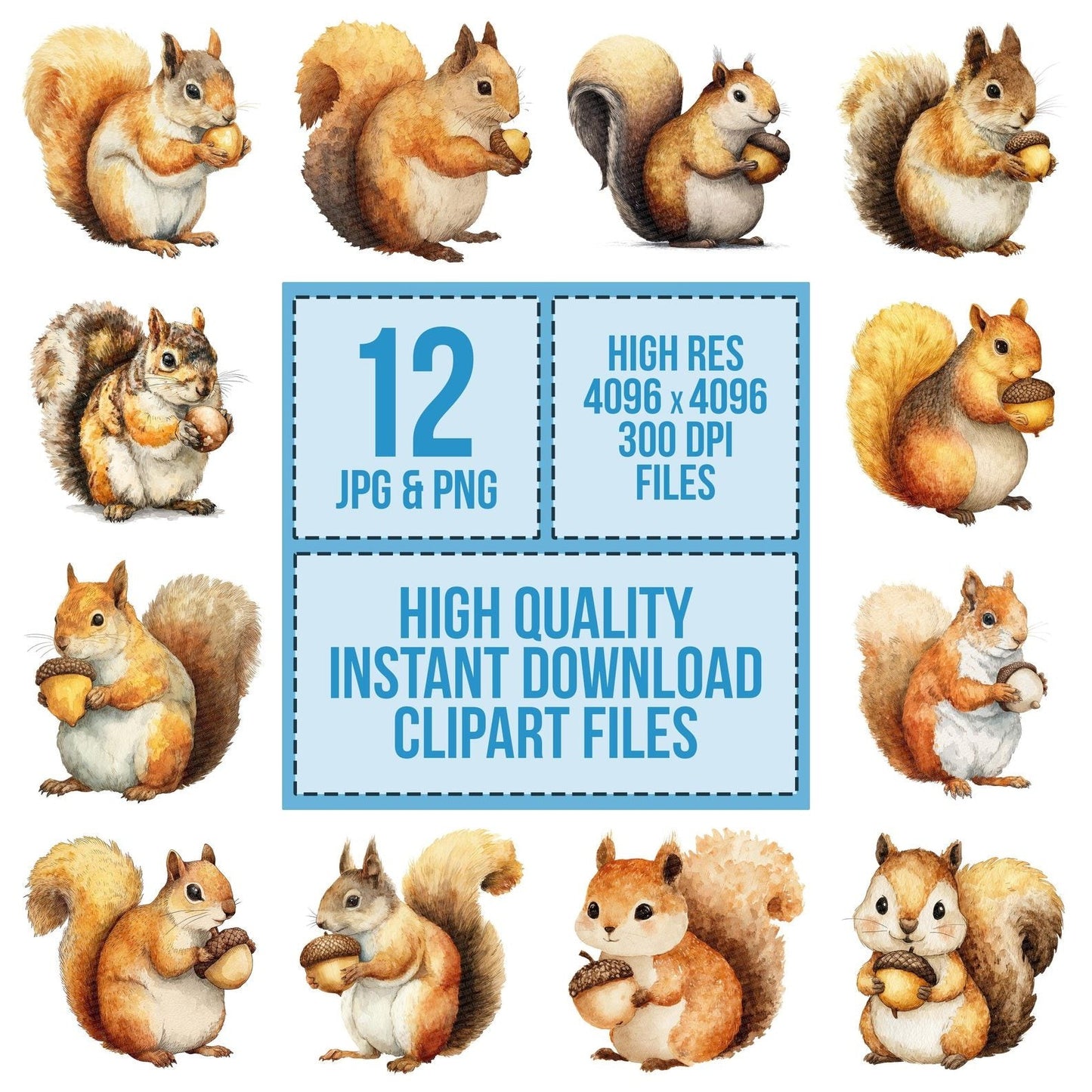 Watercolour Squirrel Acorn Clipart Set (DDD007376)