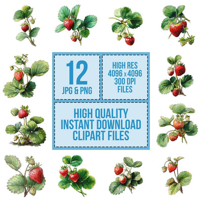 Watercolour Strawberry Plant Clipart Set (DDD007384)