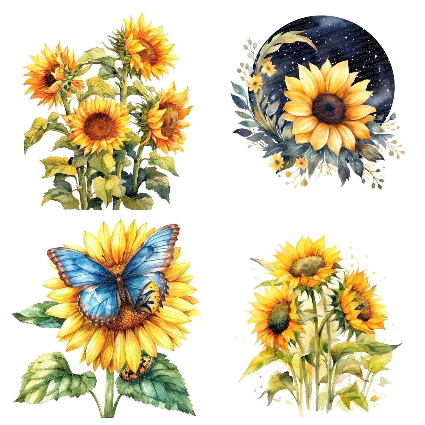 Watercolour Sunflower Clipart Set (DDD007387)