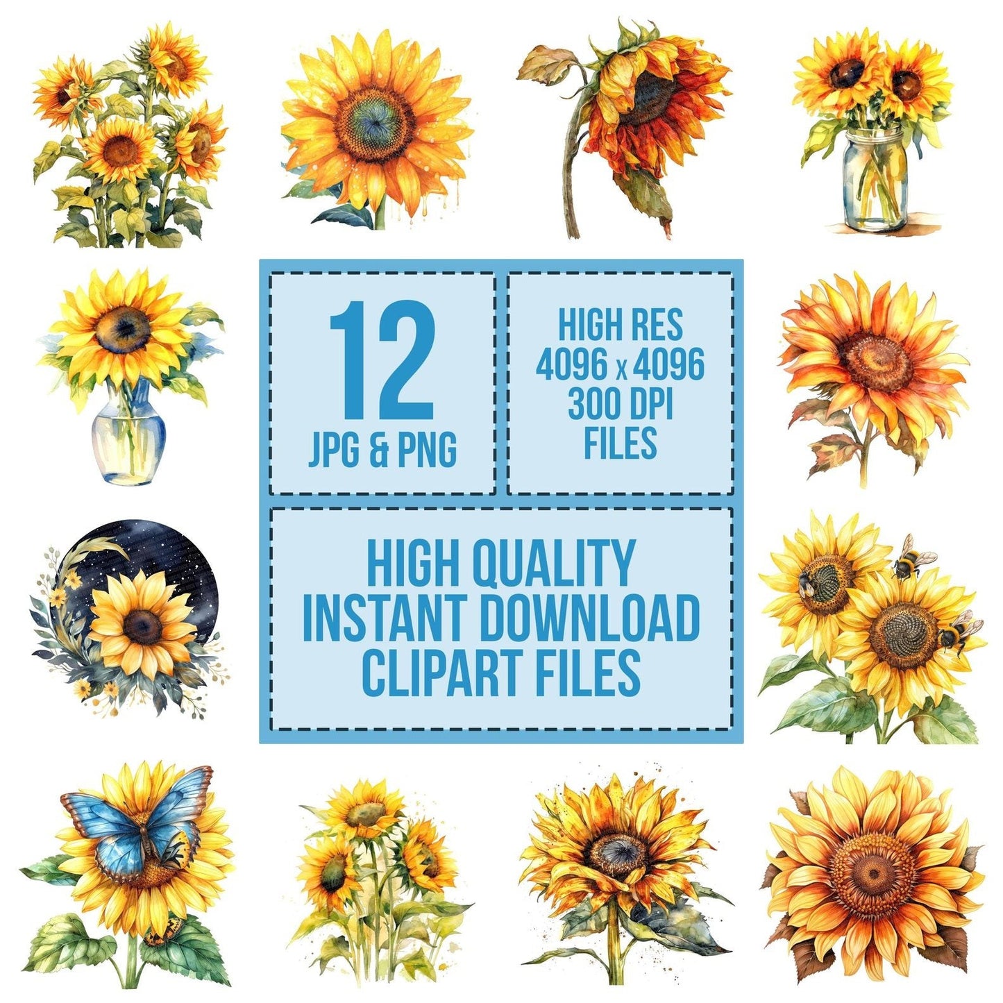 Watercolour Sunflower Clipart Set (DDD007387)