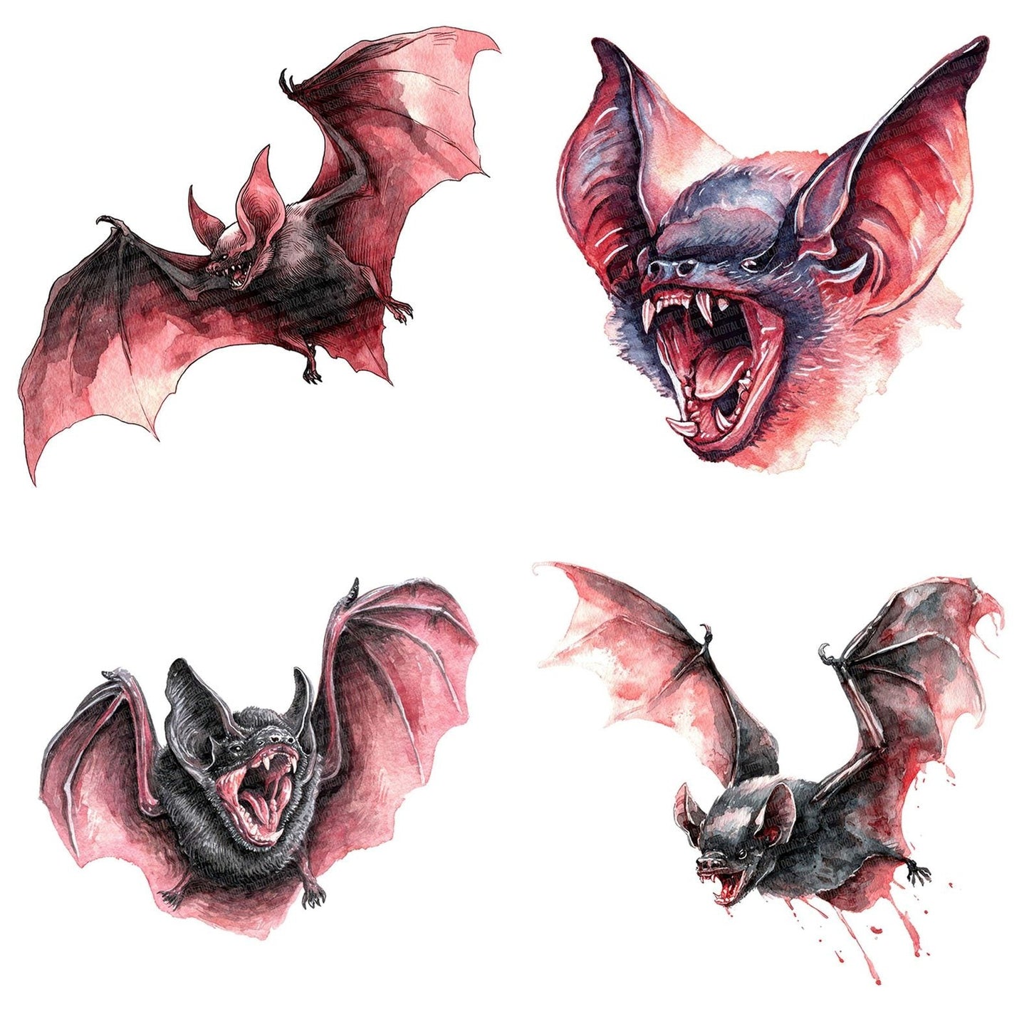 Watercolour Vampire Bat Clipart Set (DDD007402)