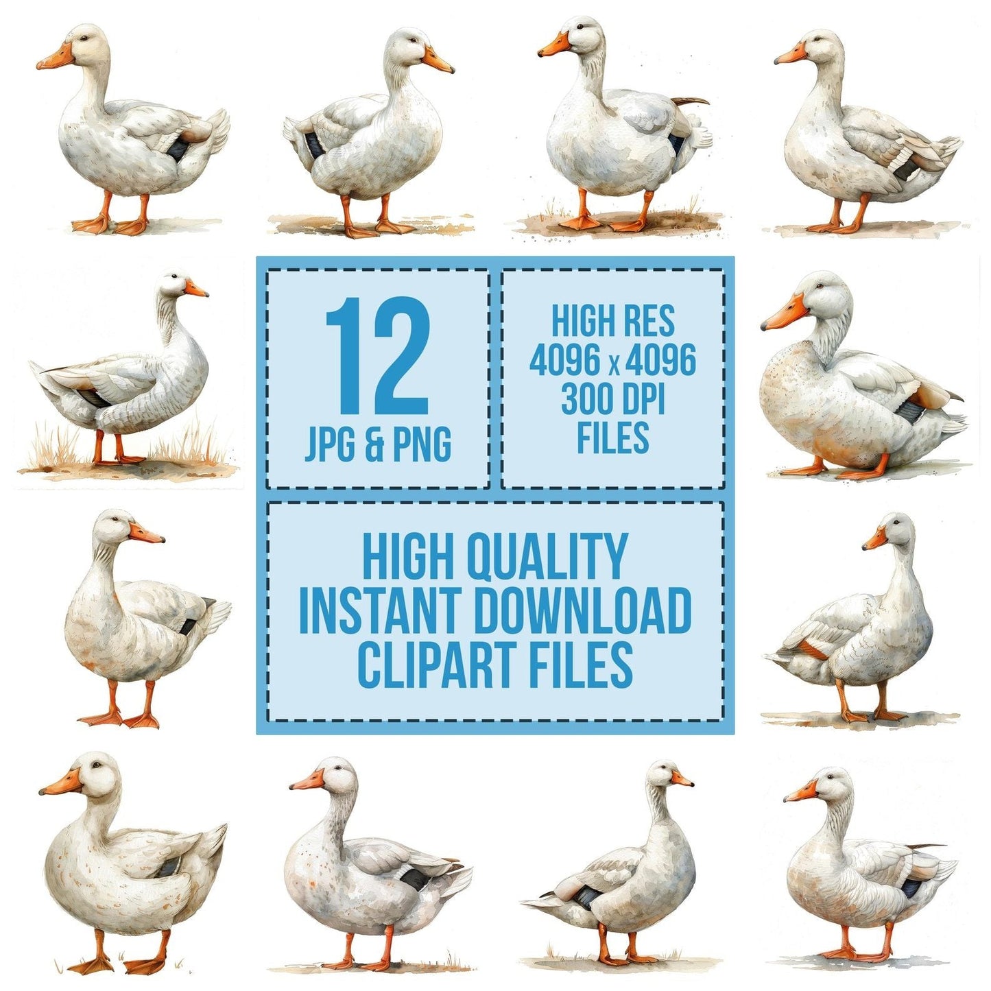 Watercolour White Duck Clipart Set (DDD007414)