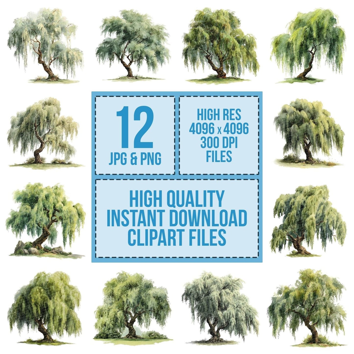 Watercolour Willow Tree Clipart Set (DDD007419)