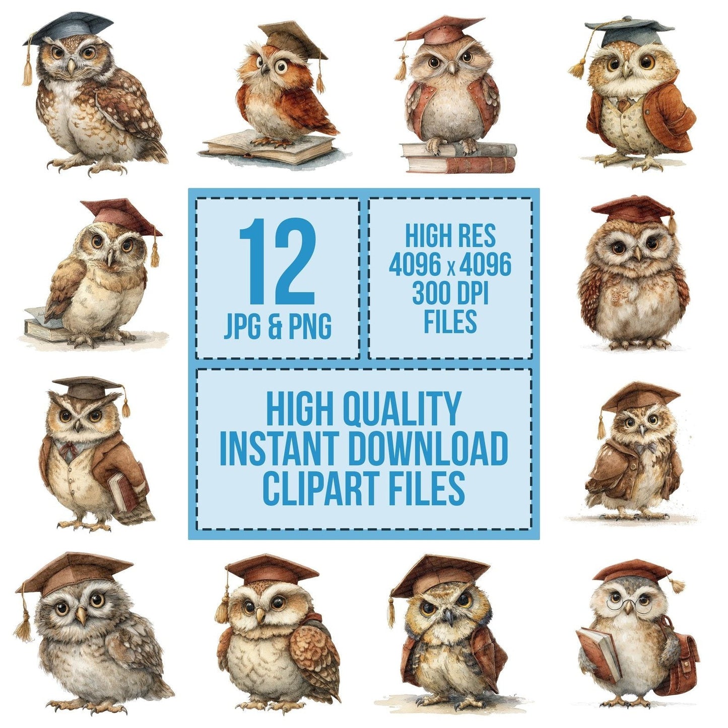 Whimsical Owl Cap Clipart Set (DDD007456)