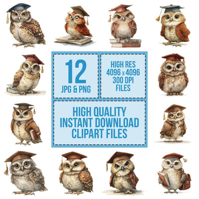 Whimsical Owl Cap Clipart Set (DDD007456)
