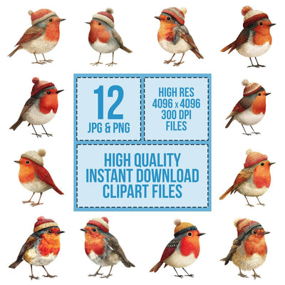 Whimsical Robin Wool Hat clipart set cover showing the designs and file details