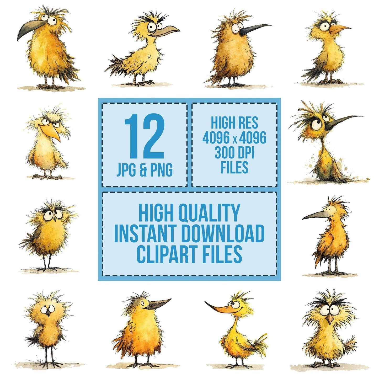 Whimsical Scruffy Bird Character Clipart Set (DDD007460)