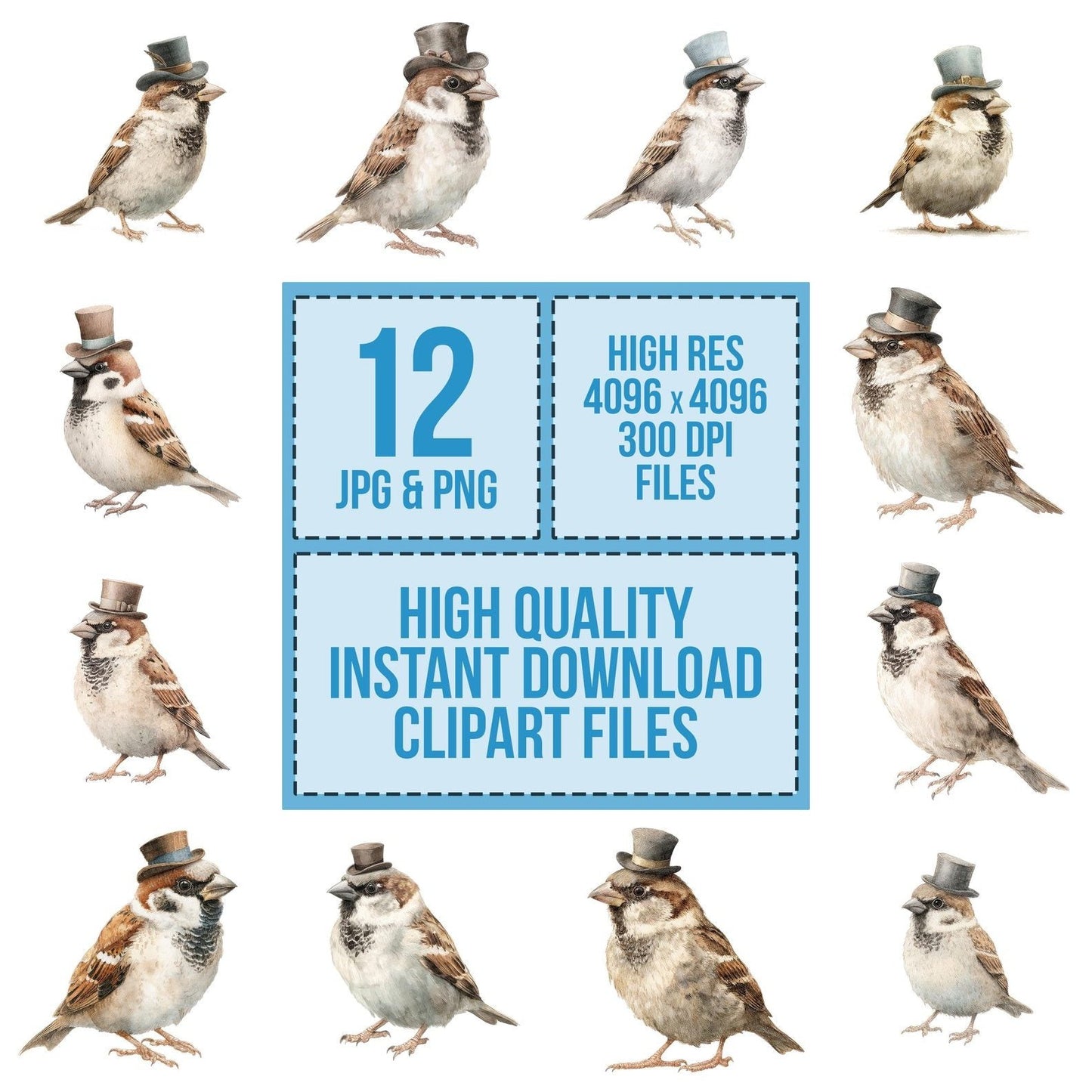Whimsical Sparrow Top Hat Clipart Set (DDD007461)