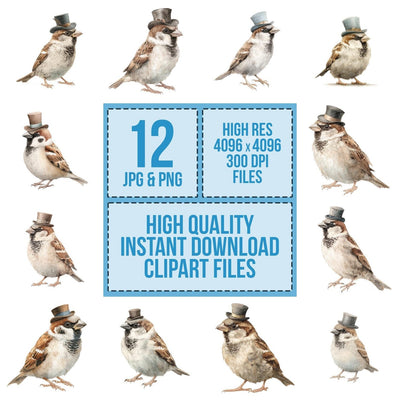 Whimsical Sparrow Top Hat clipart set cover showing the designs and file details