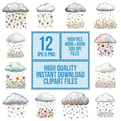 Wildflower Gentle Rain Cloud Clipart Set (DDD007481)