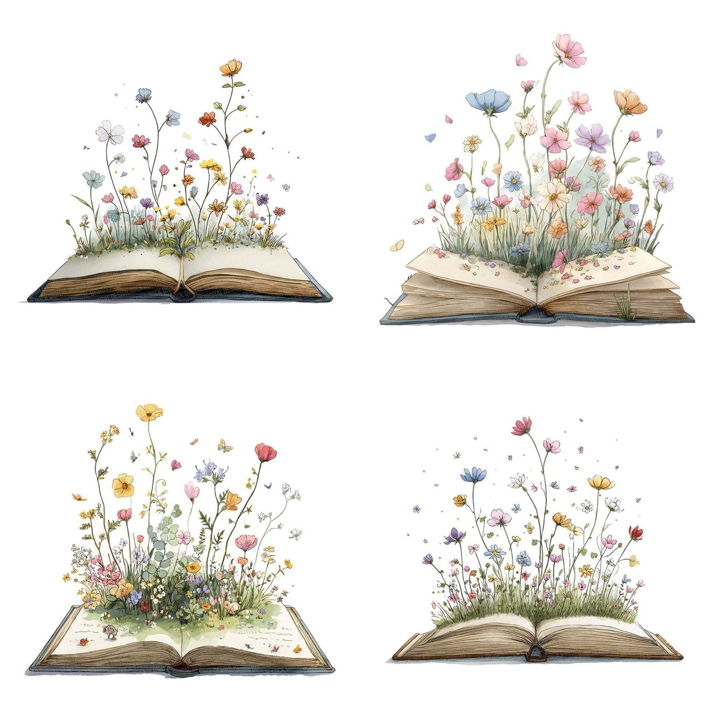 Wildflower Story Book Clipart Set (DDD007507)