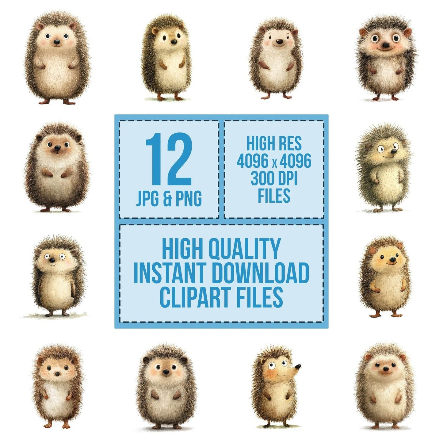 Woodland Hedgehog Character Clipart Set (DDD007584)