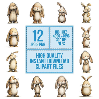 Woodland Rabbit Character Clipart Set (DDD007585)