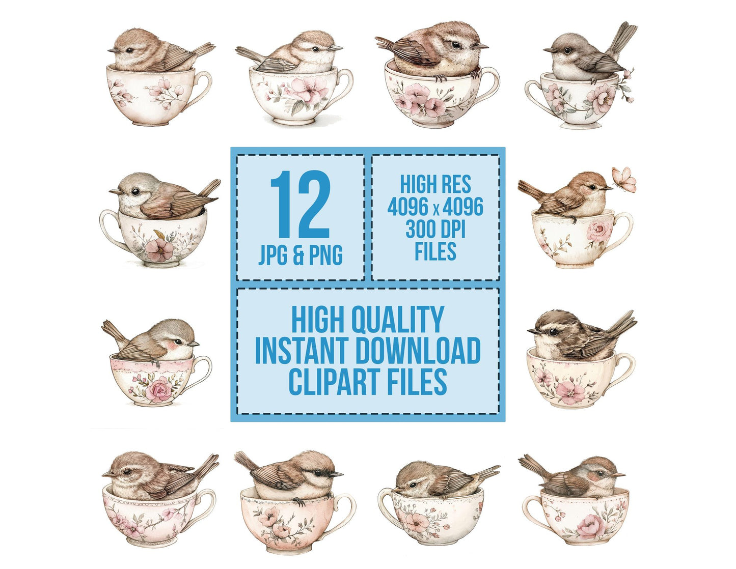 Wren in Teacup Clipart Set (DDD007595)